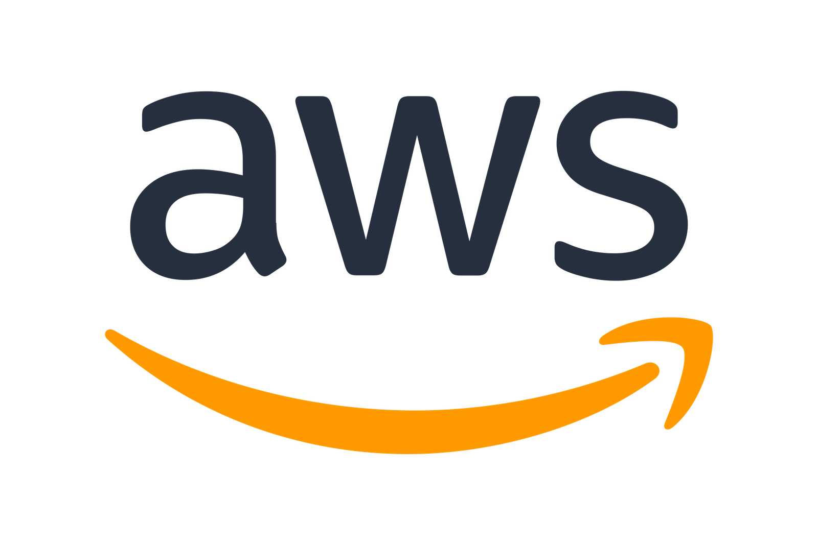 AWS Partner Logo